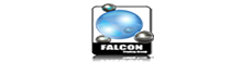 Falcon Trading Group
